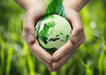 Green Startup Pledge: enabling startups to take meaningful climate action