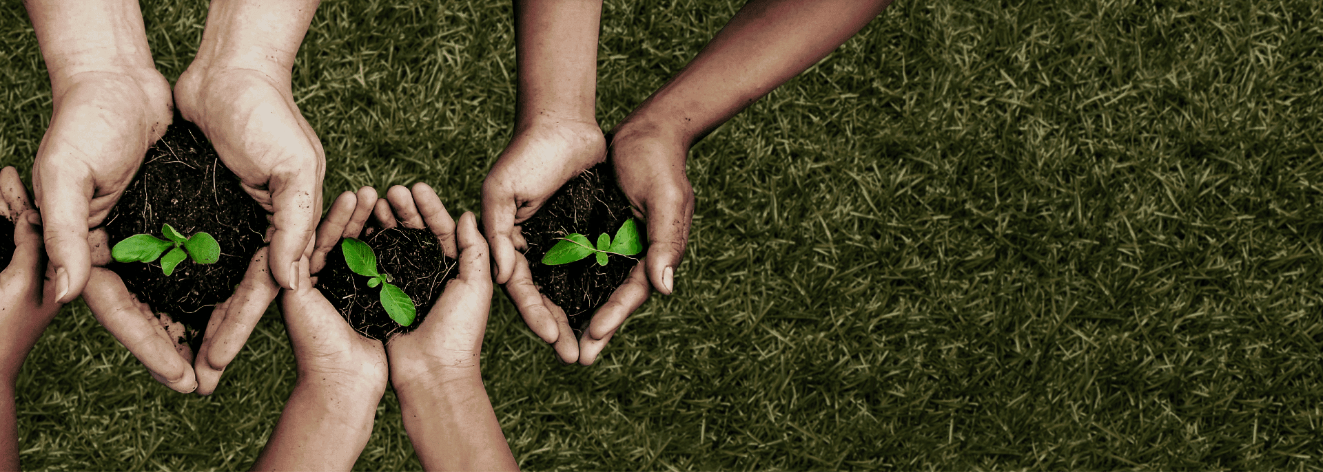The Green Startup Pledge — State of Climate Action